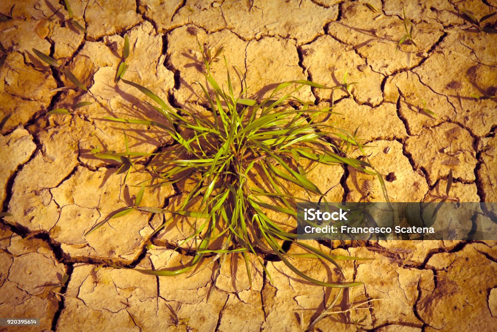 Infertile land burned by the sun: famine and poverty concept image Dirt Stock Photo
