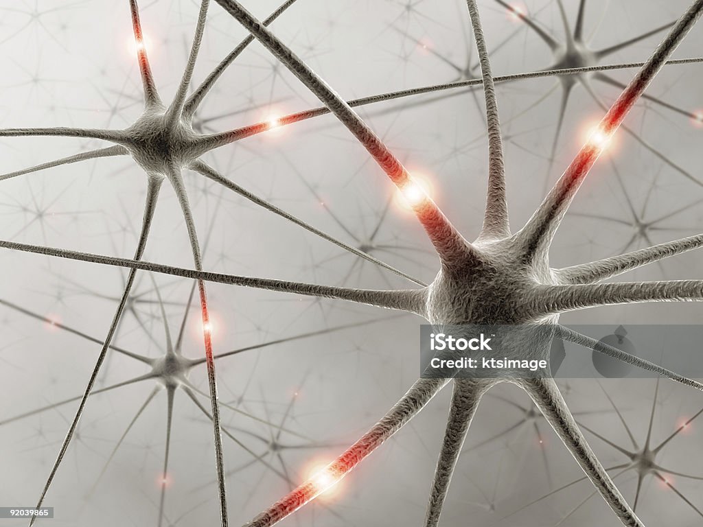 Nos neurónios - Royalty-free Anatomia Foto de stock