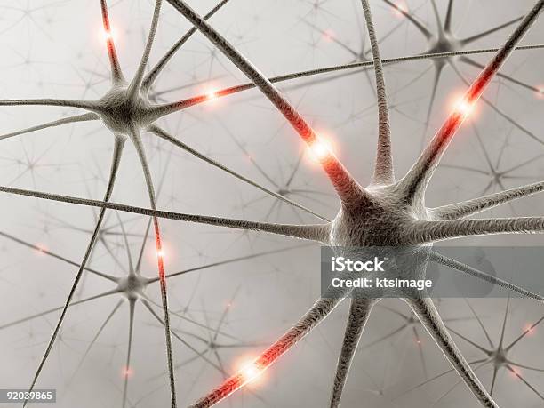 Nos Neurónios - Fotografias de stock e mais imagens de Anatomia - Anatomia, Axónio, Biologia