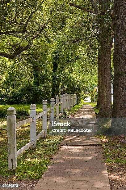 Treelined Sidewalk Stock Photo - Download Image Now - Architecture, Cheerful, Color Image