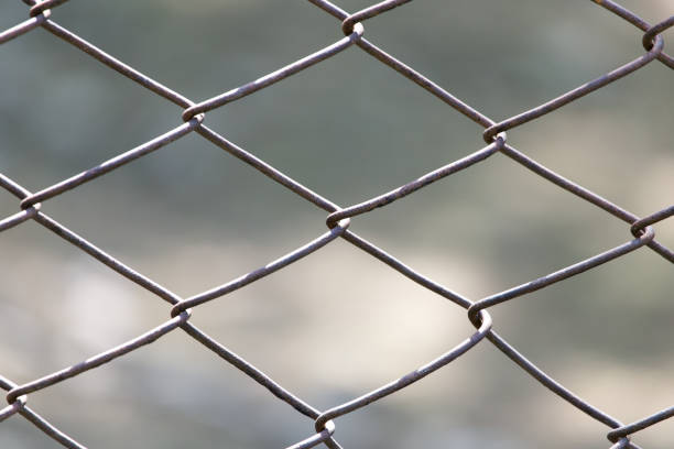 istock metal mesh in nature as a background 920399370