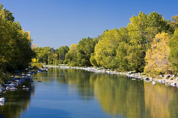 Bow River in Autumn  bow river stock pictures, royalty-free photos & images