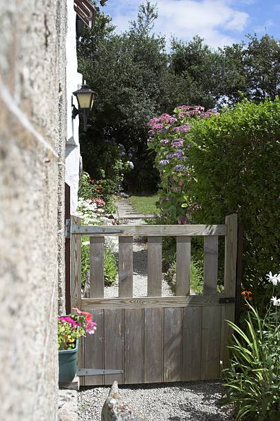 istock English Country Garden 92040038