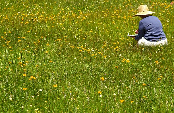 Artist painting al aire libre - foto de stock