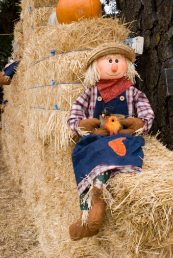 Raggedy Ann doll at a pumpkin patch