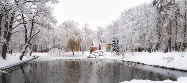 istock Great snow in the city park 920405676