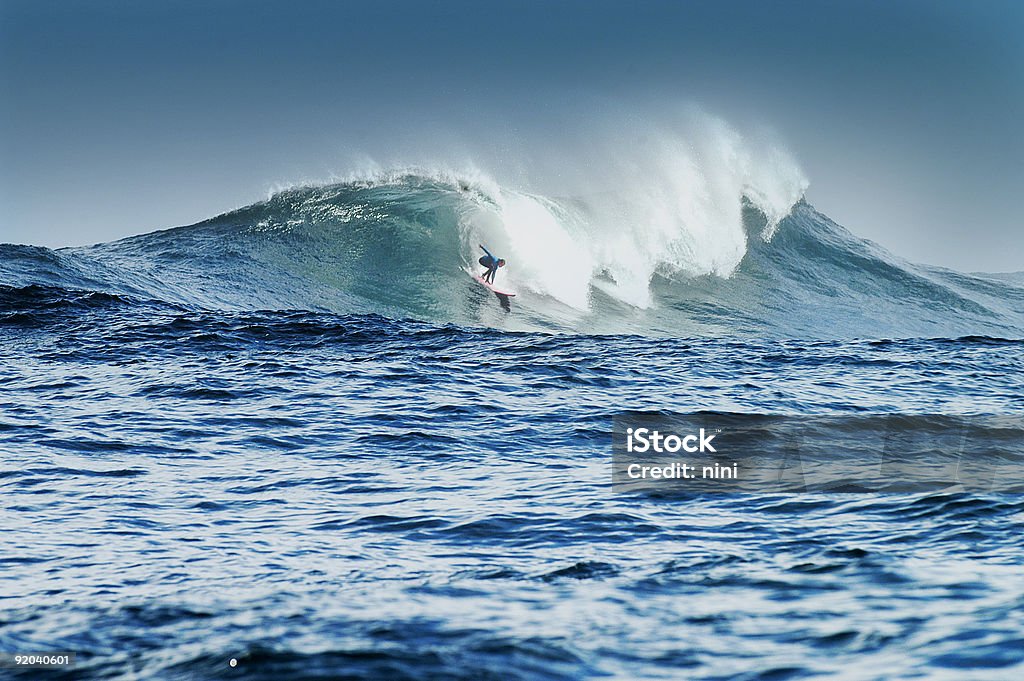 Duża Fala surferów - Zbiór zdjęć royalty-free (Surfing)