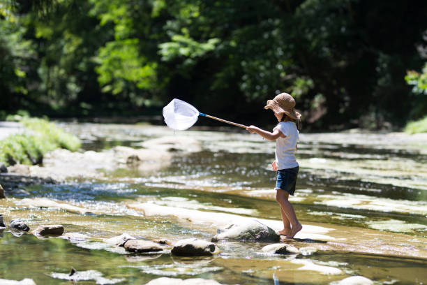 istock Little girl playing on a stream 920406282