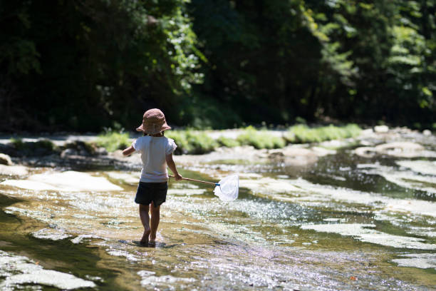 istock Little girl playing on a stream 920406298