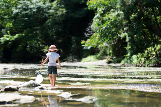 istock Little girl playing on a stream 920406554