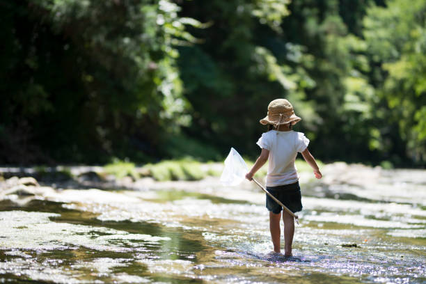 istock Little girl playing on a stream 920406602