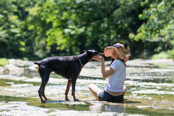 istock A woman who plays with Doberman in a mountain stream 920409104
