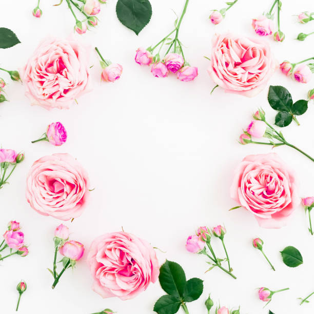 istock Floral round composition with roses, leaves and buds on white background. Flat lay, top view. Frame background 920411896