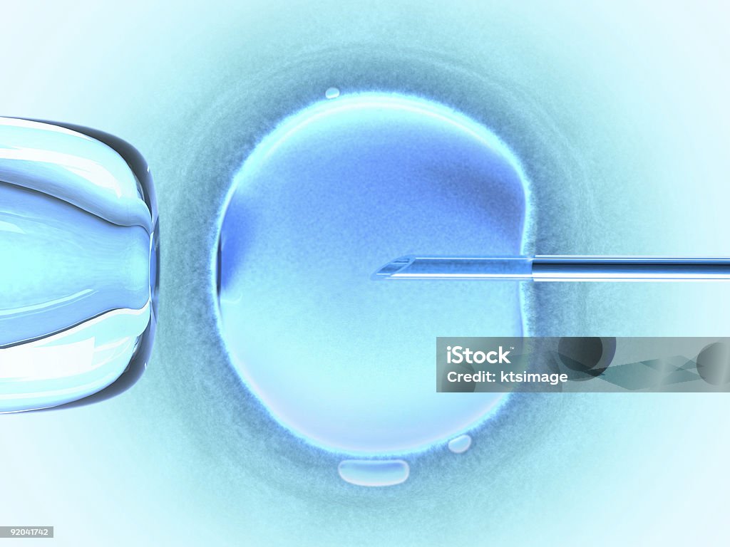 Ovum Cold Color (in vitro fertilization)  In Vitro Fertilization Stock Photo