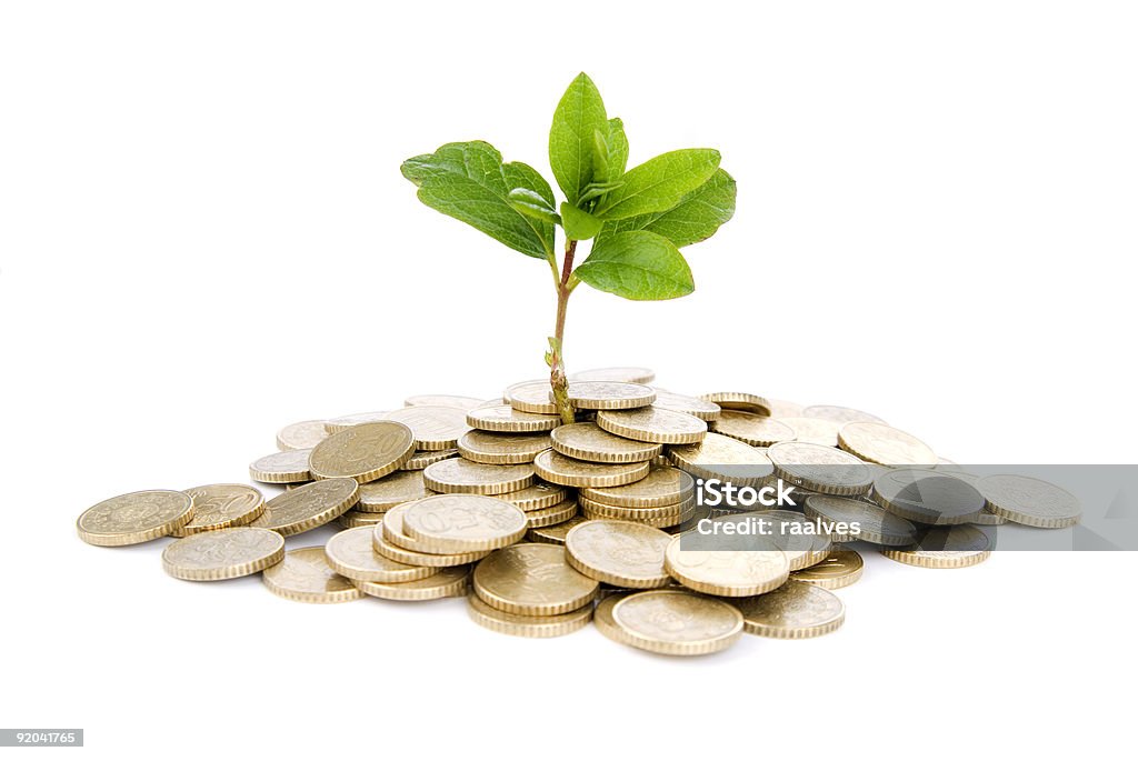 Monedas y planta, aislado sobre fondo blanco - Foto de stock de Color - Tipo de imagen libre de derechos