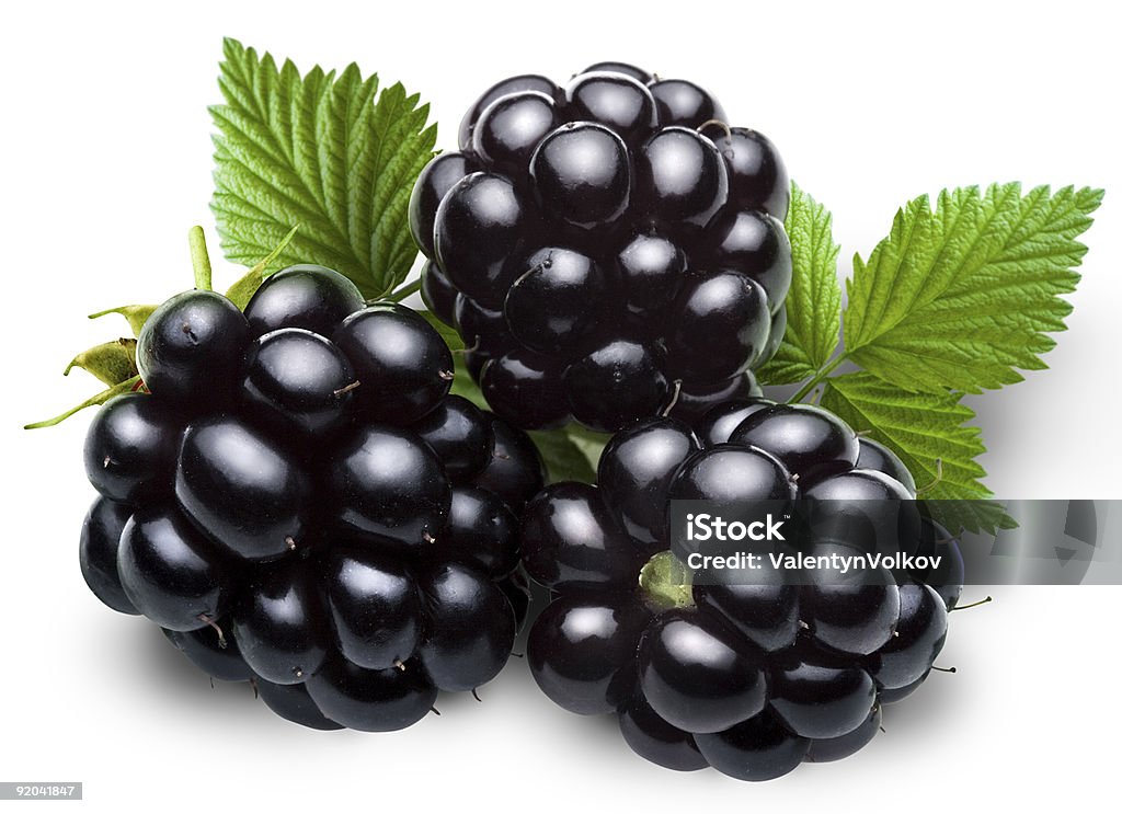 blackberry - Zbiór zdjęć royalty-free (Neutralne tło)