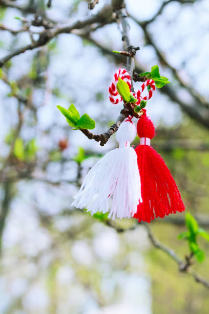 istock Bulgarian Martenitsa on the tree branch 920421312