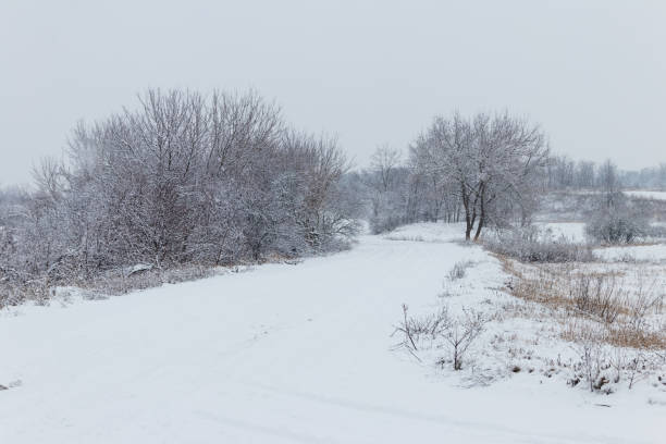 istock Snowy road during snowfall. Winter rural landscape 920421366