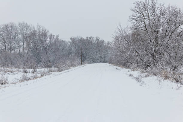 istock Snowy road during snowfall. Winter rural landscape 920421380