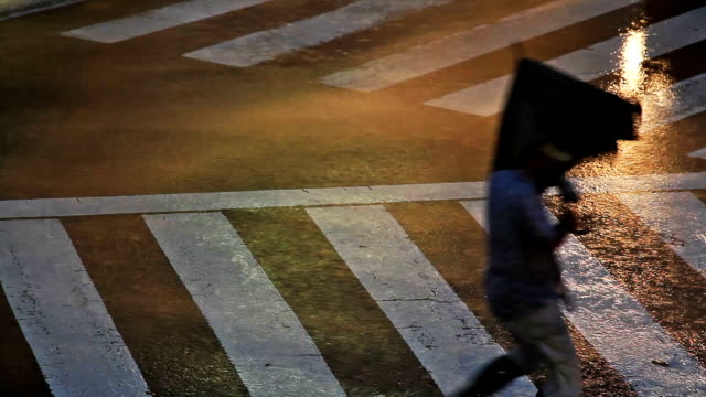 Crosswalk on a street in Tokyo during a typhoon.