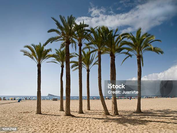 Praia Tropical Com Palmeiras Oliveiras - Fotografias de stock e mais imagens de Ao Ar Livre - Ao Ar Livre, Areia, Benidorme