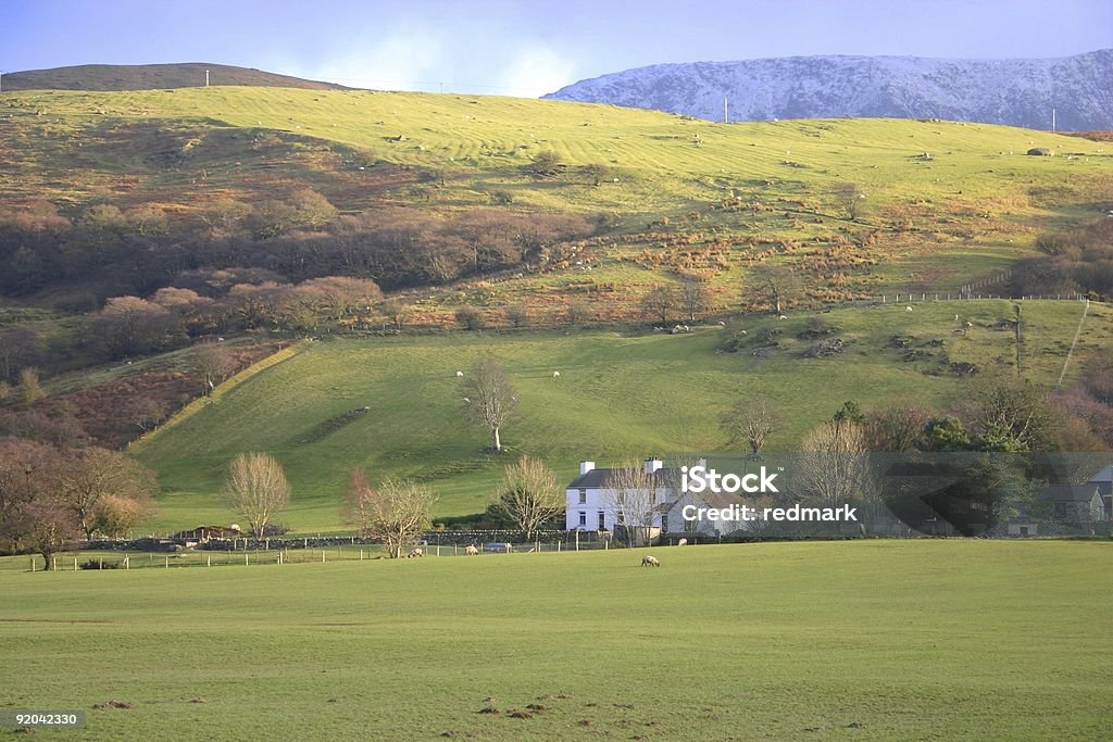 Couleurs de l'automne sur les collines du Pays de Galles avec fond de Snowdonia - Photo de Pays de Galles libre de droits
