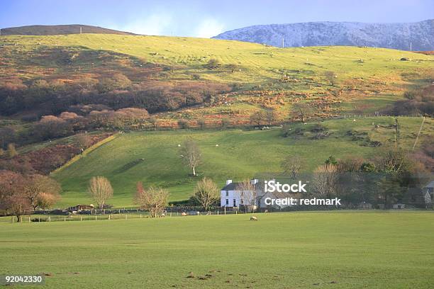 Photo libre de droit de Couleurs De Lautomne Sur Les Collines Du Pays De Galles Avec Fond De Snowdonia banque d'images et plus d'images libres de droit de Pays de Galles