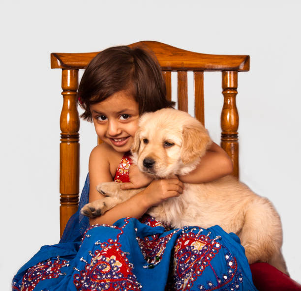 Cute girl holding Golden Retriever puppy Cute girl holding Golden Retriever puppy Dog Breeds for Kids stock pictures, royalty-free photos & images