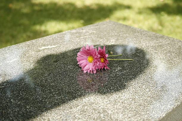 fleurs sur memorial avec shadow - spooky cemetery single flower flower photos et images de collection