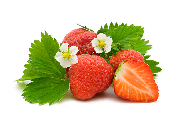 istock strawberries berries and flowers 92042860