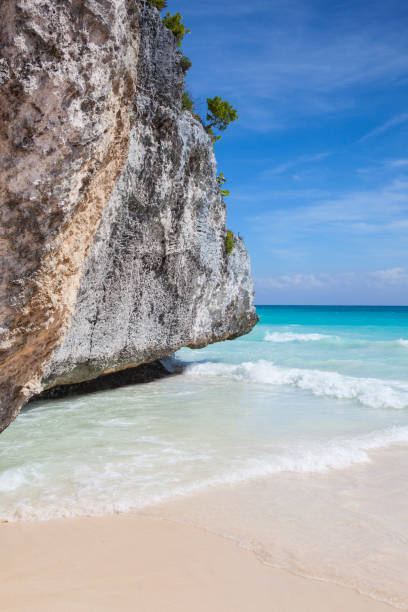 istock On the amazing beach in Mayan ruins in Tulum. 920429846