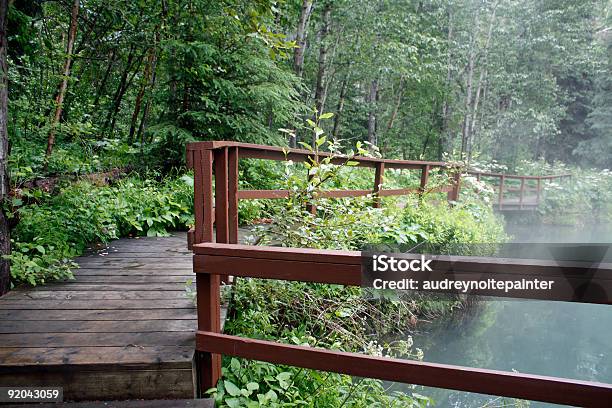 Bosque La Piscina Foto de stock y más banco de imágenes de Abeto Picea - Abeto Picea, Agua, Agua estancada