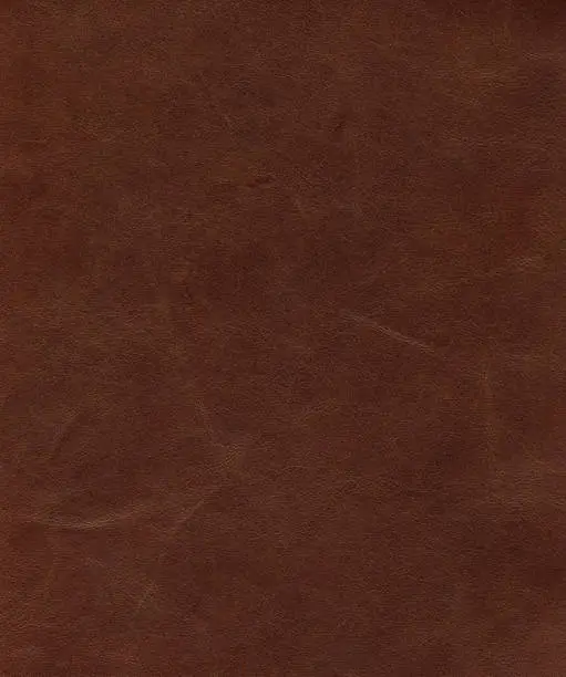 Photo of Leather Texture: Soft Brown