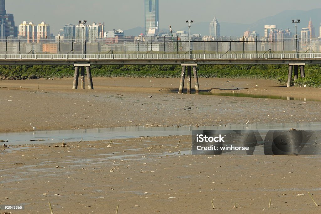 Hong Kong Terreno paludoso - Foto stock royalty-free di Tuen Mun