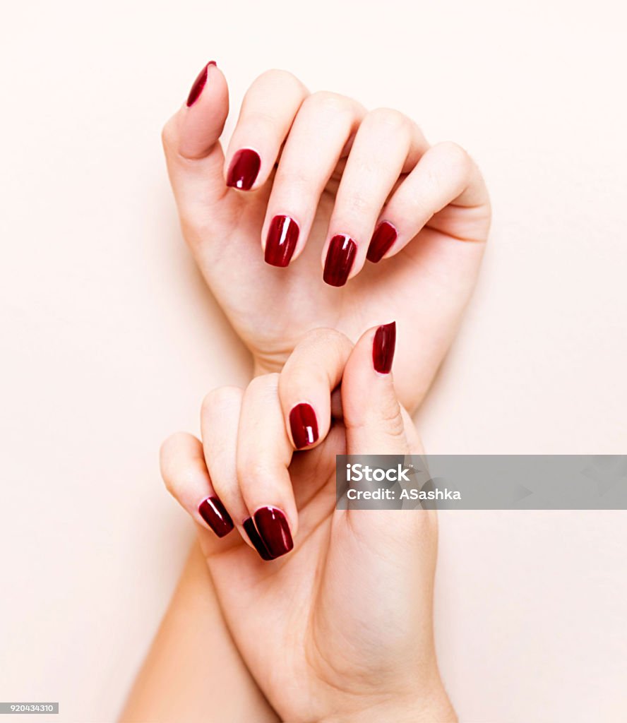 Perfect red nails Beautiful nails painted in red Fingernail Stock Photo