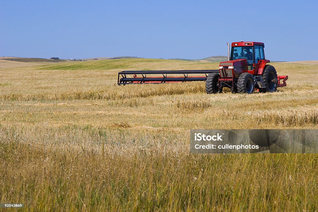 Tracteur Tondre la pelouse de blé - Photo de Alberta libre de droits