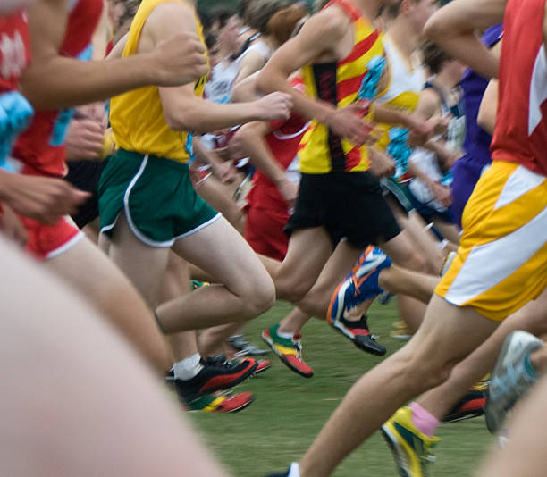 istock Cross-Country marathon depicting various contestants 92044043