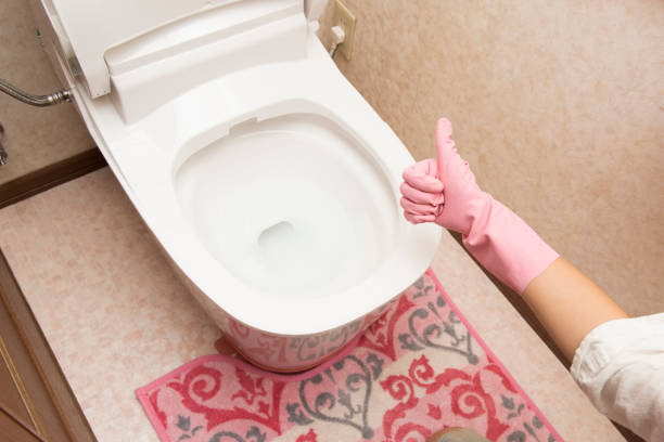 istock Cleaning of toilet bowl 920441396