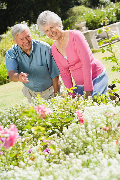 istock Senior couple working in garden 92044503