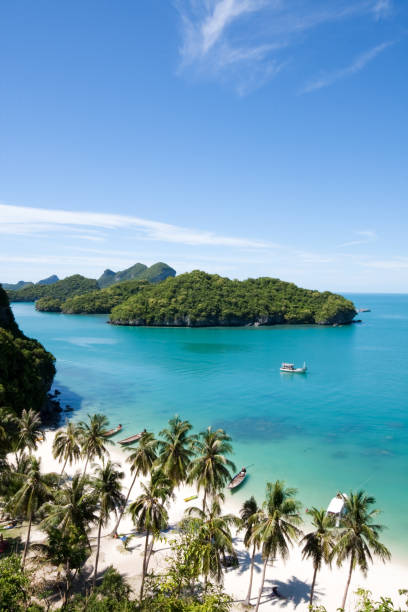 красивые рай пляж на angthong национальный парк - thailand surat thani province ko samui coconut palm tree стоковые фото и изображения