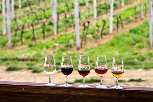 istock Glasses with wine. Red, pink, white wine in glasses. 920445832