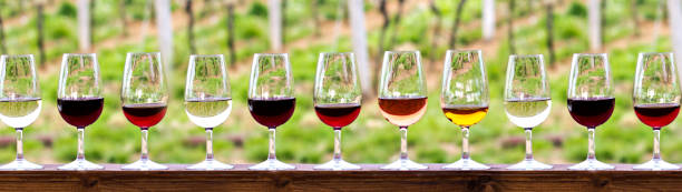 бокалы с вином. красное, розовое, белое вино в бокалах. - wine cork white wine grape стоковые фото и изображения