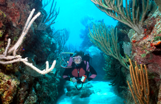 View of the Caribbean coral reef with the yellow tube sponge and female diver in Grand Cayman island - Cayman Islands