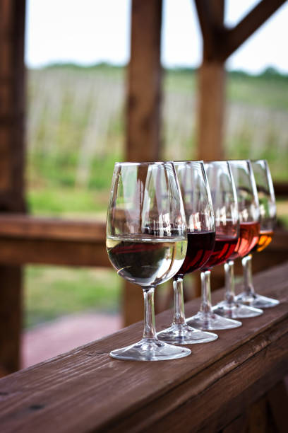 istock Glasses with wine. Red, pink, white wine in glasses. 920446606