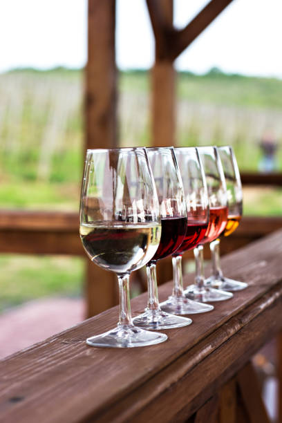istock Glasses with wine. Red, pink, white wine in glasses. 920449056