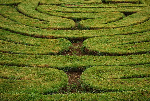 Cтоковое фото Трава Maze