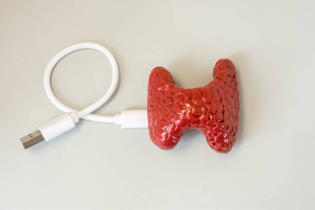 istock 3D shape of thyroid with connected by charging cord, cable or for connecting with other devices. Concept of  technology bionic or artificial organ of thyroid gland for treatment or diagnosis diseases 920449406