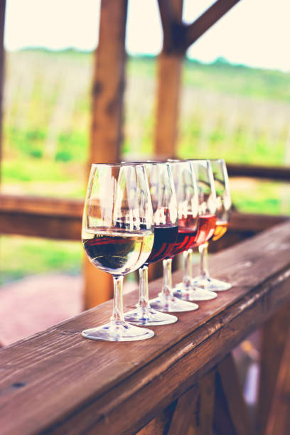 istock Glasses with wine. Red, pink, white wine in glasses. 920449468