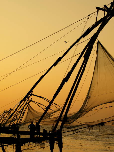 istock Cochin Chinese fishing nets,India. 92044992