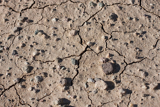 Drought - Dry Cracked Earth stock photo